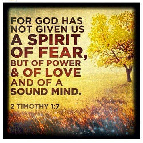 181860_10152194553770024_2136348887_n