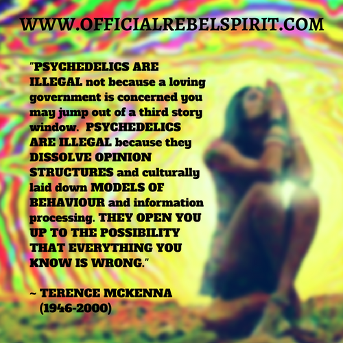 26169155_1959134657661170_335935394442847531_n