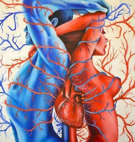 FB_IMG_1509780771886